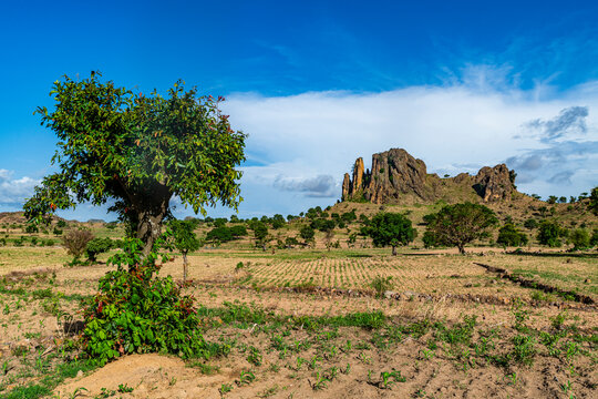 Fields and lunar landscape, Rhumsiki, Mandara mountains, Far North province, Cameroon, Africa
