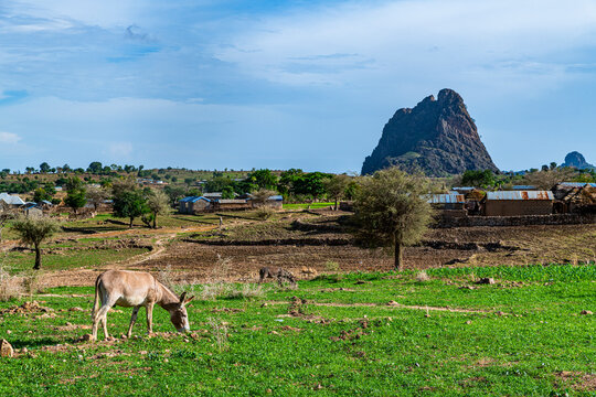Village and lunar landscape, Rhumsiki, Mandara mountains, Far North province, Cameroon, Africa