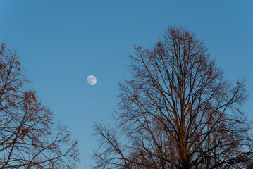 Almost Full Moon In A Late Afternoon Sky In December In Wisconsin