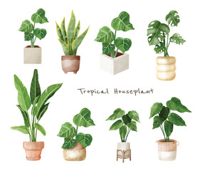 A set of tropical houseplants, Indoor plants in the flowerpot in watercolor vector
