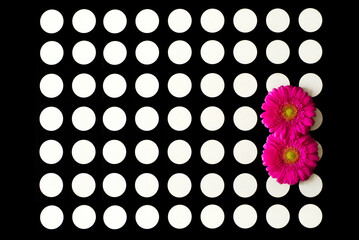 Tło w białe kropki z różowymi kwiatami na czarnym tle, karta - obrazy, fototapety, plakaty