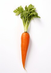 carrot isolated on white background