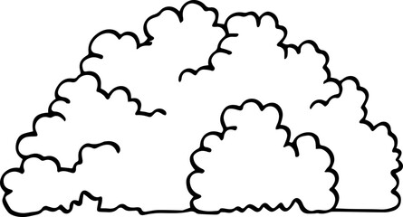 hand drawn bush illustration.