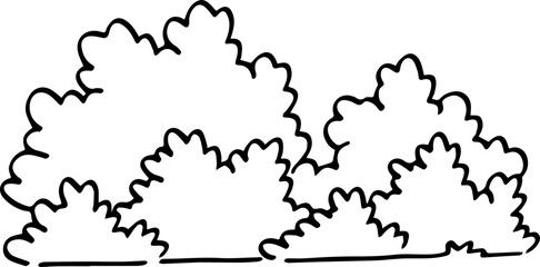 hand drawn bush illustration.