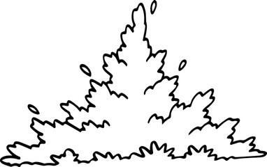 hand drawn bush illustration.
