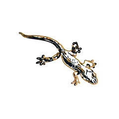 Color sketch of gecko with a transparent background