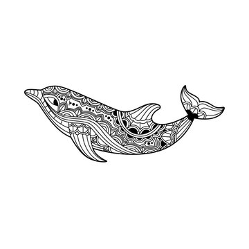 Dolphin Mandala Vector
