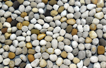 Glatte Kieselsteine unter der Wasseroberfläche