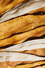 Organic autumn background, texture of colored autumnal leaves, top view nature surface, yellow brown foliage as natural seasonal pattern Fall aesthetic photography with macro leaves with veins