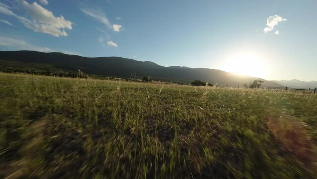 Flying extremely close to ground and fast through field at sunset slow motion