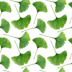 Watercolor seamless pattern with ginkgo biloba green leaves. Botanical illustration. Can be used for prints, wrapping paper, fabric design, packaging, wallpaper. On white background.