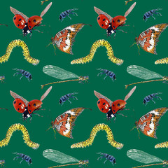 Seamless pattern of butterfly, caterpillar, ladybug and dragonfly. Hand drawn Watercolor illustration. Hand painted insects on green background.