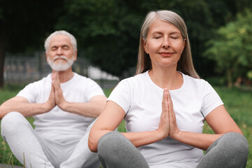 Senior couple practicing yoga in park, selective focus