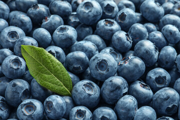 Tasty fresh blueberries with green leaf as background, closeup