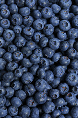 Tasty fresh blueberries as background, top view
