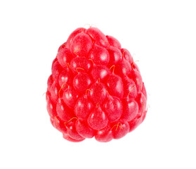 One tasty ripe raspberry isolated on white