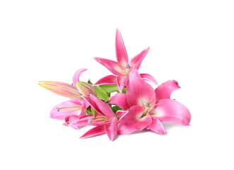 Fototapeta na wymiar Beautiful pink lily flowers isolated on white