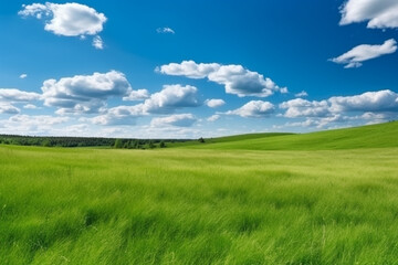 Fototapeta na wymiar Green meadows on hill with blue sky