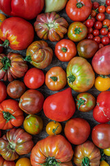 Variety of organic untreated tomatoes as a natural multicolored background and harvest conception