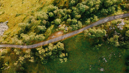 Aerial top down view of narrow road among green summer trees and fields in the Alps, high angle view. Natural background.
