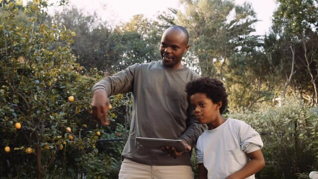 Black father and son planning pool renovation in the garden on digital tablet 