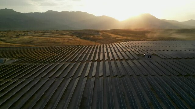 Aerial View of Solar Panels Farm (Solar Cell) with Sunlight. Drone Flight Over Solar Panels Field