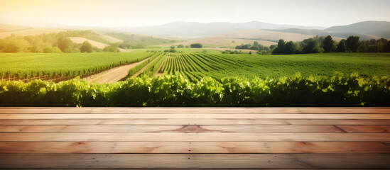 Empty wooden table top with copy space against blurred vineyard background. banner. useful in product display montage.