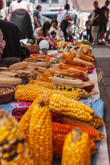 Festival de granos y diferentes variedades de legumbres donde destaca el maíz en sus diferentes variedades cosechadas de forma tradicional y ecológica en Cotacachi, Imbabura, Ecuador, Sudamerica.