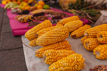 Festival de granos y diferentes variedades de legumbres donde destaca el maíz en sus diferentes variedades cosechadas de forma tradicional y ecológica en Cotacachi, Imbabura, Ecuador, Sudamerica.