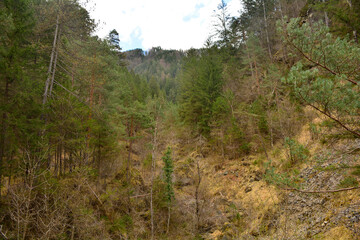 The forested landscape just north of Ovaro village in the Carnia region of Friuli-Venezia Giulia, north east Italy