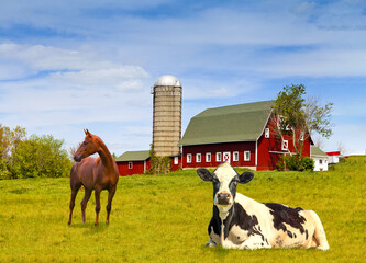 Red Barn Animals