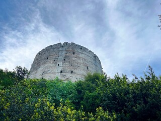 big round tower among green branches 