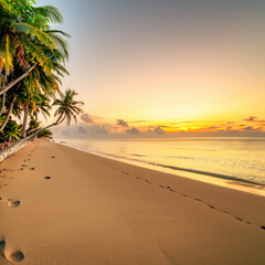 tropical beach at sunset