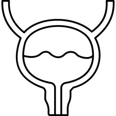 Bladder