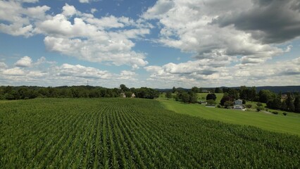 Preserved Farmland - Sunny days are for making hay