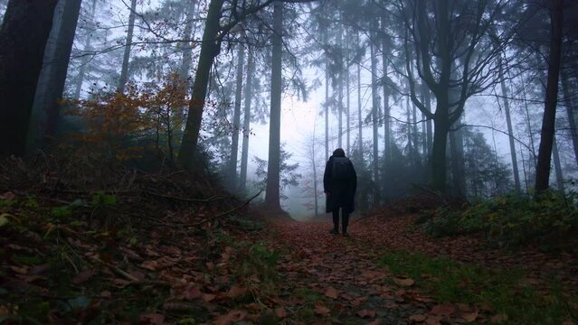 Mystical man in a cloak walking through a dark forest on a  foggy day