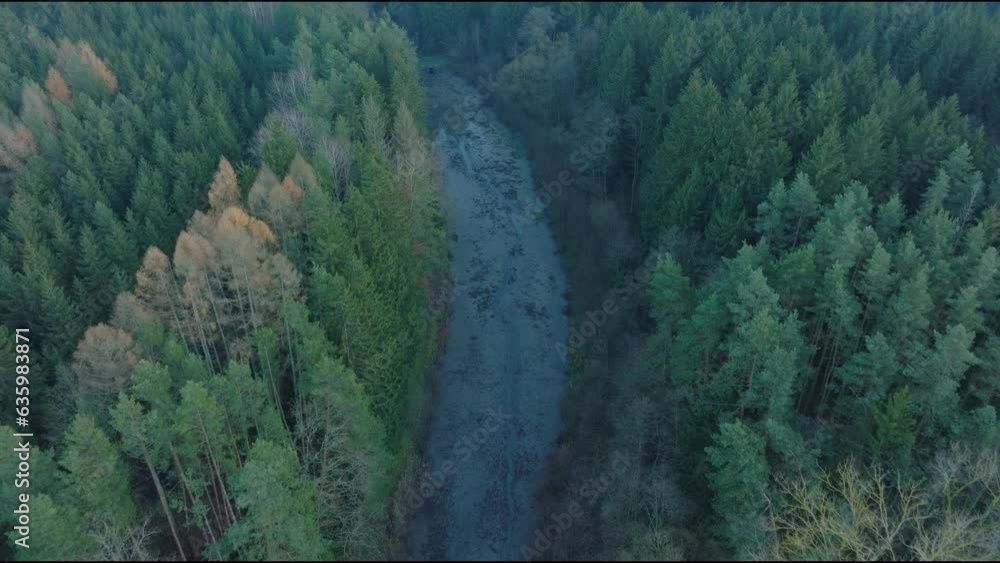 Poster drone view above a river between trees in a forests