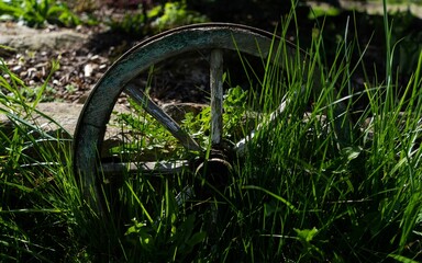 Rustic wagon wheel resting in a lush green grass field on a sunny day