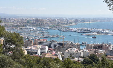 Fototapeta premium Panoramic View of Port of Palma, Mallorca
