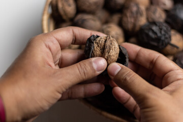 Harvesting organic walnuts. overlay shot of fresh nuts with vintage nutcracker