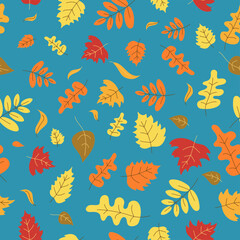 Fototapeta na wymiar Autumn pattern, set of leaves, maple leaf, rowan leaf, oak leaf. Doodle, drawings, sketch. Autumn season. Contour vector illustration, seamless texture, Background. 