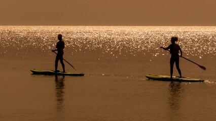 People enjoying a shared experience of paddle boarding on the wonderful Caribbean sea