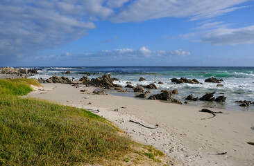 Fototapeta na wymiar Silver Sands Beach, Bettys Bay, South Africa