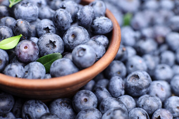 fresh sweet blueberry berries in a bowl