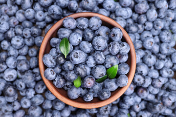fresh sweet blueberry berries in a bowl