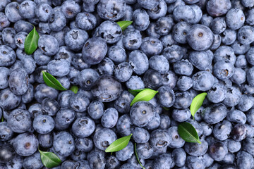 Background of fresh ripe blueberries with leaves, top view