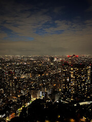 Tokyo by night, panorama view over the city. Amazing Japan. 