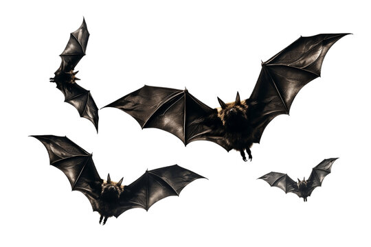Bats in Flight, Isolated on Transparent Background. AI