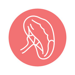 Human organ spleen line icon. Isolated vector element.