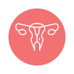 Human organ uterus line icon. Isolated vector element.